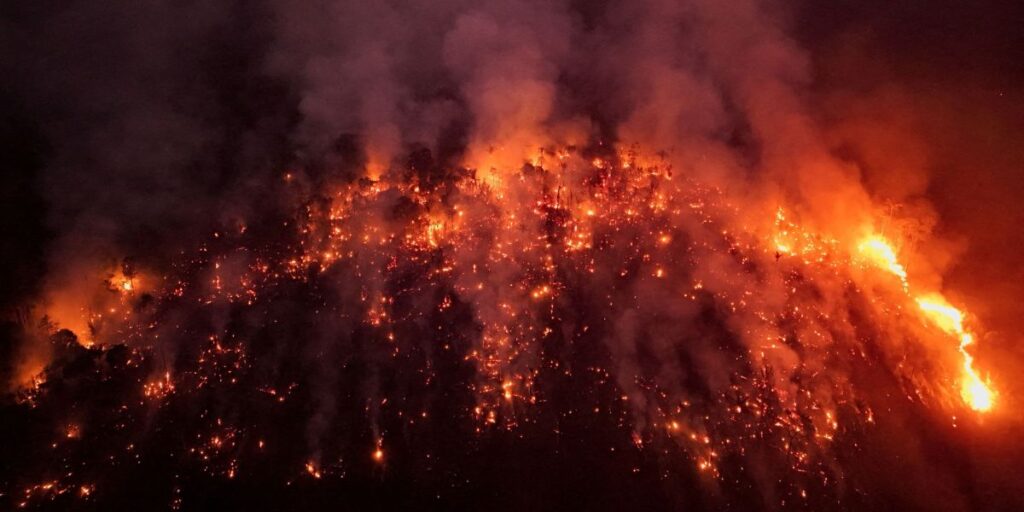 Incêndios e seca reduzem armazenamento de carbono na Amazônia, diz estudo