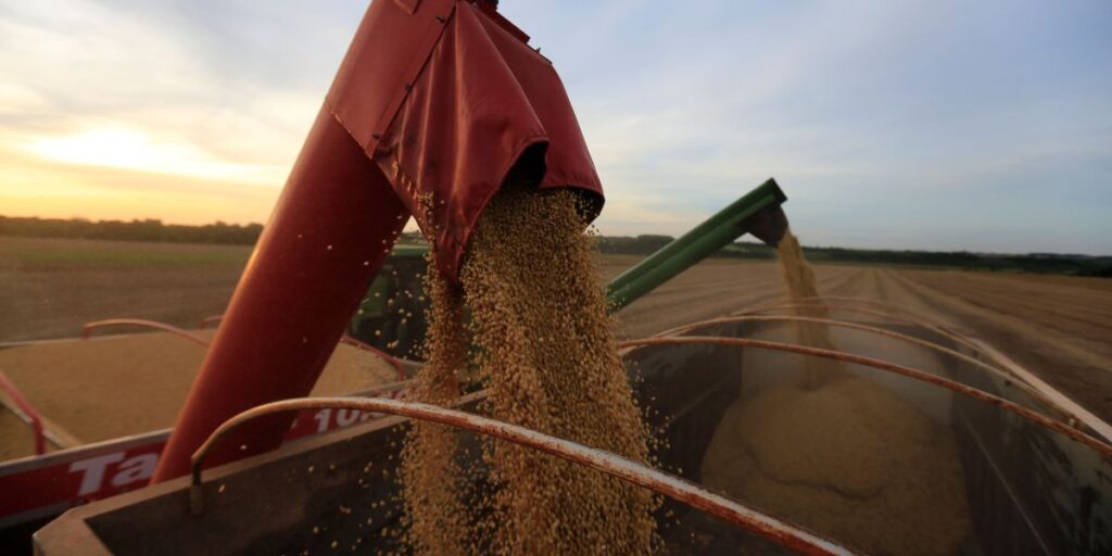 Guerra comercial com China ajuda Brasil, avaliam produtores de soja dos EUA