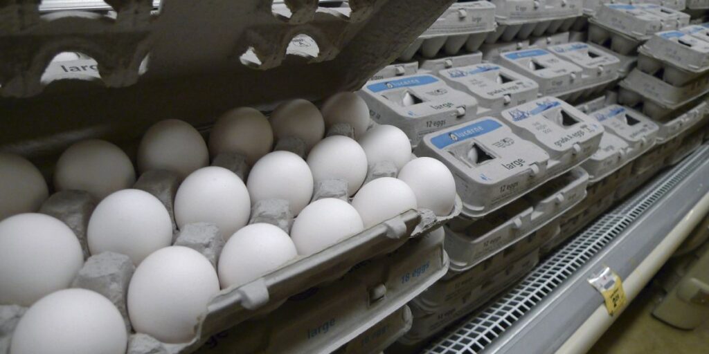 Exportações de ovos tem recorde puxado por gripe aviária nos EUA