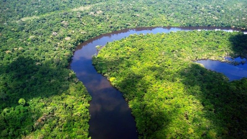 Pará registra redução de 36% em área com alerta de desmatamento em março