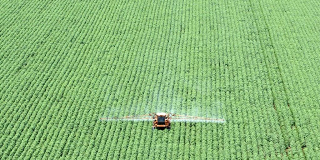 Tarifaço de Trump: entenda os impactos para o agronegócio brasileiro