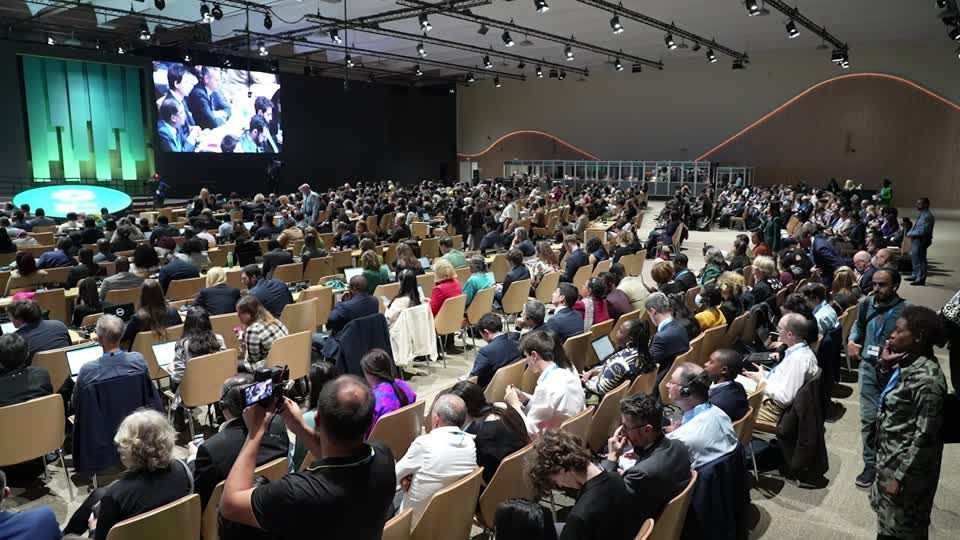 Financiamento climático é desafio constante em negociações da COP; entenda