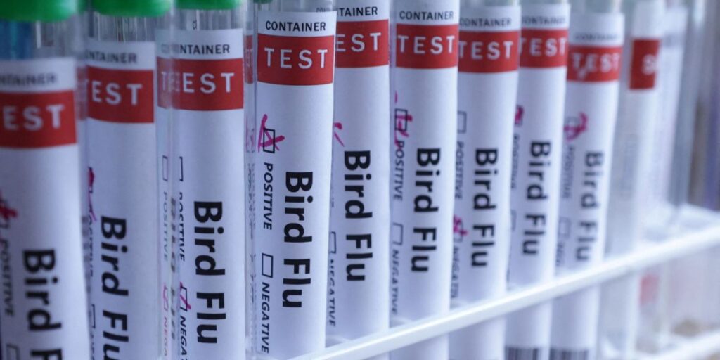 México registra primeiro caso humano de gripe aviária H5N1