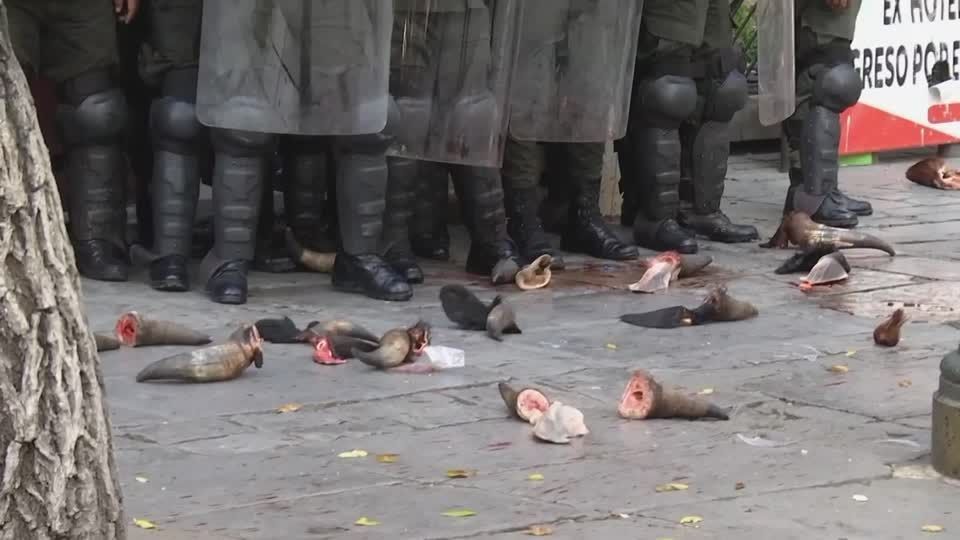 Açougueiros bolivianos atiram chifres contra polícia em ato contra inflação