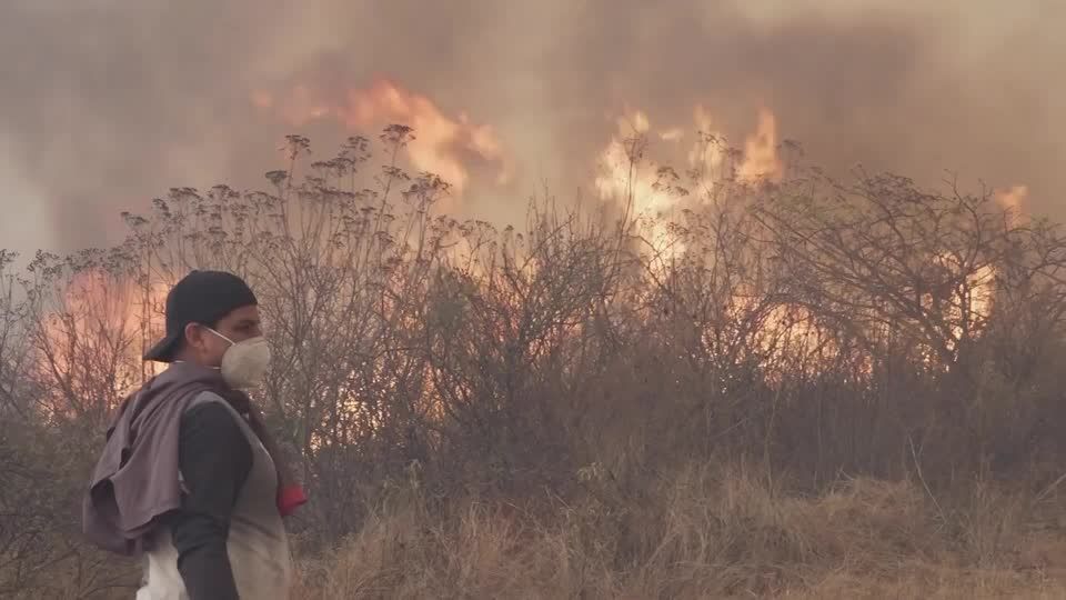 Voluntários lutam para conter incêndio florestal devastador no México; veja