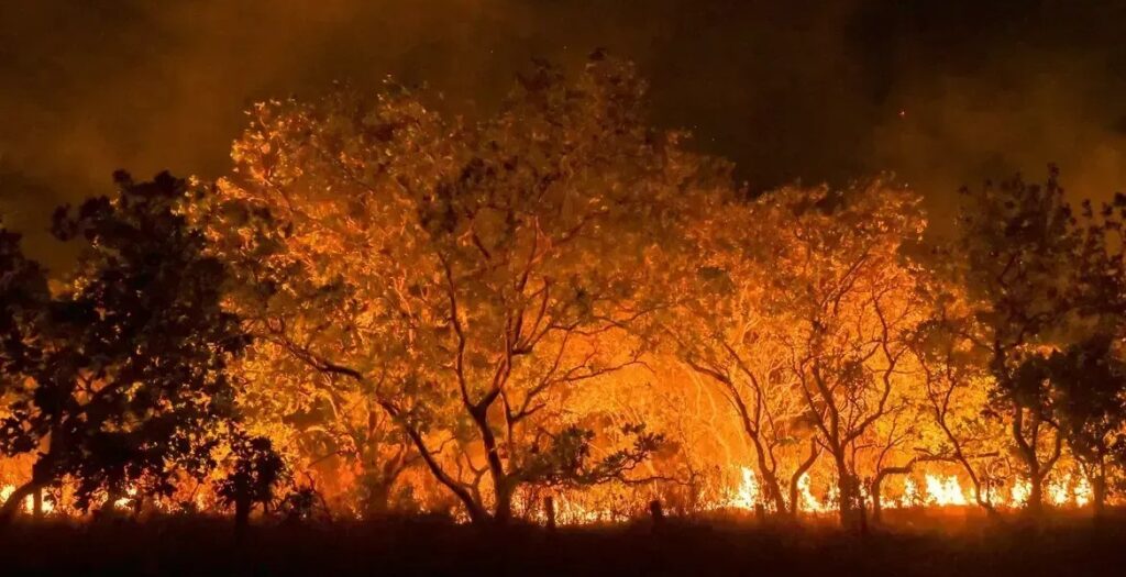 Brasil reduz queimadas em 70% no 1º trimestre de 2025, diz estudo