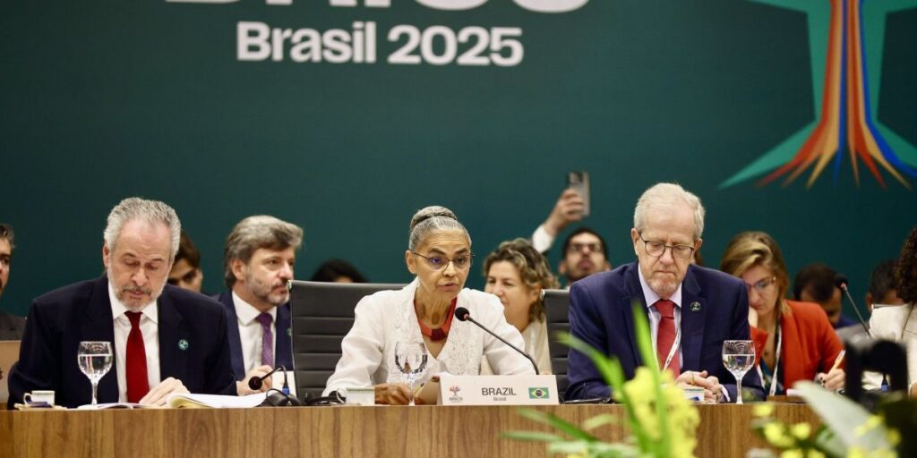 Em agenda dos Brics, Marina faz apelo por transição energética: "Inadiável"
