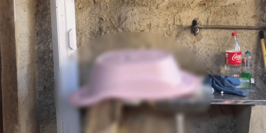 Caso Ana Beatriz: mãe estava psicologicamente abalada, diz polícia