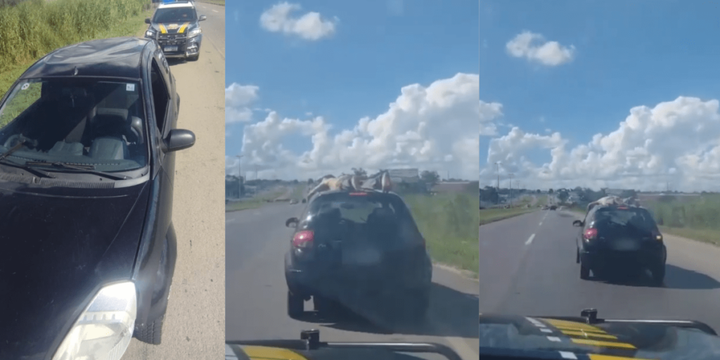 Homem é flagrado pelado em teto de carro a mais de 100 km/h em Goiás