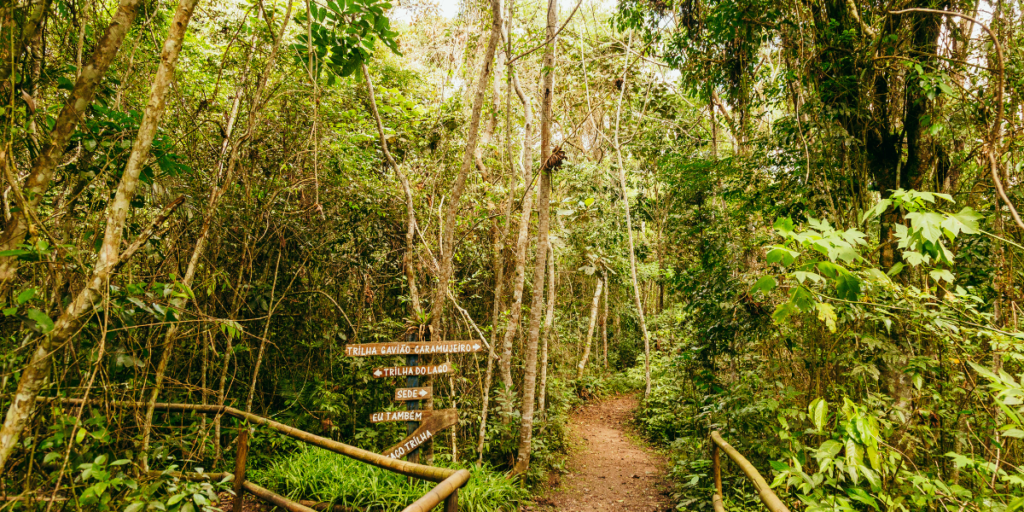 SP inaugura a maior trilha da cidade com 182 km de natureza e ecoturismo