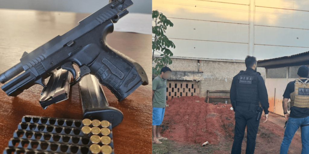 Feliz Natal: Polícia desarticula esquema de extração ilegal de madeira