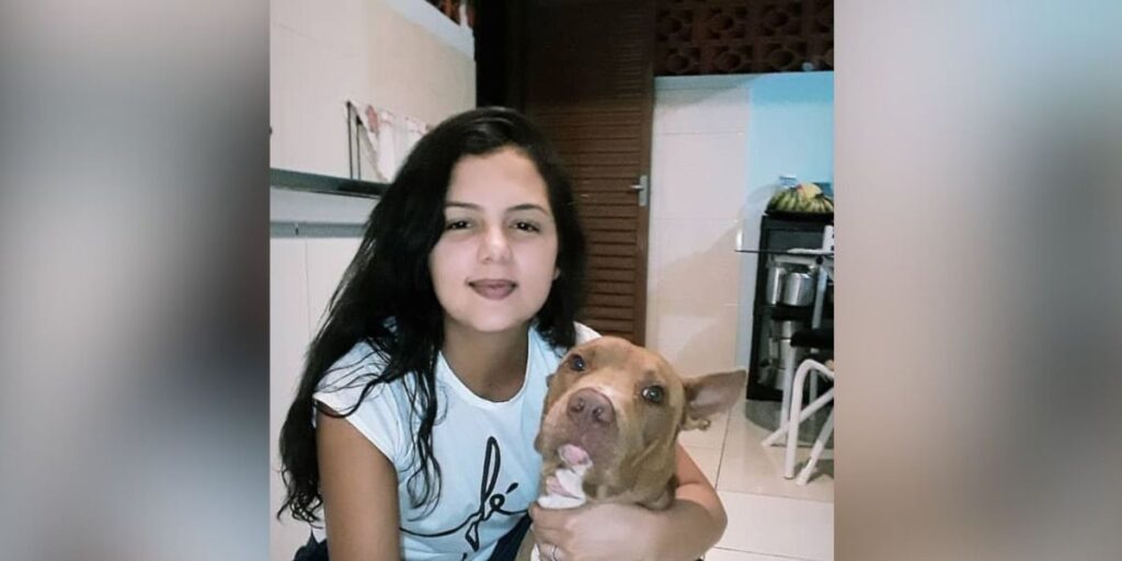 Pit bull ataca e mata tutora dentro de casa em cidade do entorno do DF