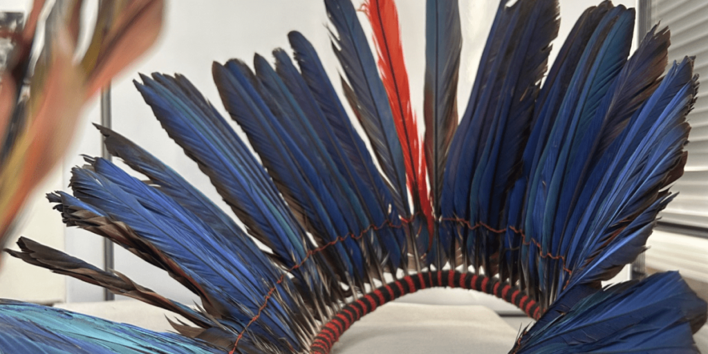 Ibama doa cocar apreendido para Museu de Zoologia da USP