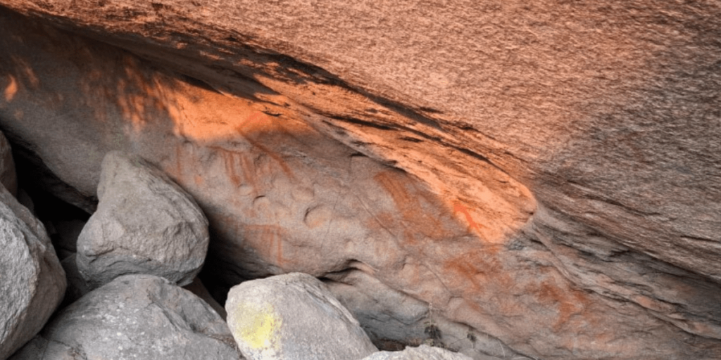 Primeiras pinturas rupestres do Rio de Janeiro são encontradas em parque