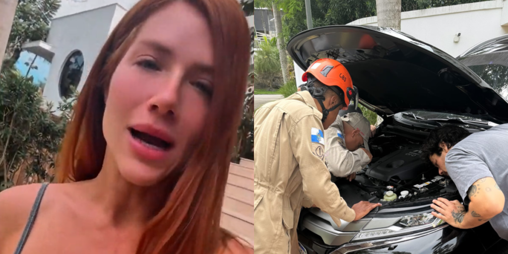 Bombeiros resgatam gato de Giovanna Ewbank que ficou preso em roda de carro