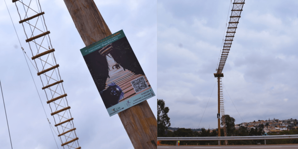 Passagens para animais são incluídas em novo lote de rodovias em SP