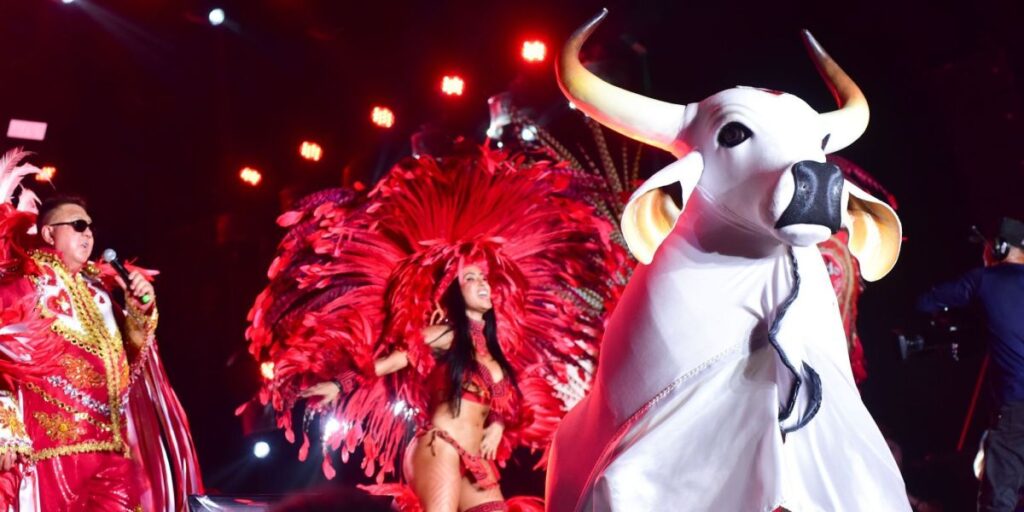 Boi Garantido faz festa para lançar álbum do Festival de Parintins 2025