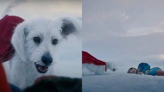 "Superman", de James Gunn, ganha prévia com o supercão Krypto; assista