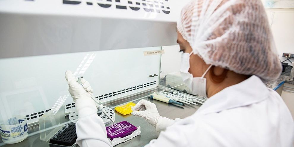 Anvisa aprova vacina do Instituto Butantan e Valneva contra chikungunya