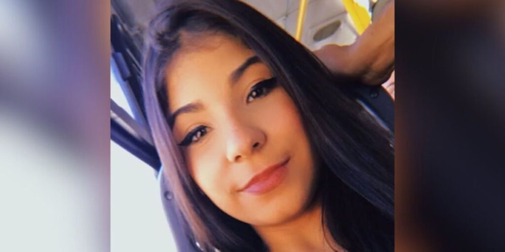 Caso Vitória: perícia aponta facadas e material genético no carro de Maicol