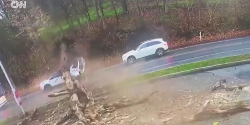 Vídeo: Mulher escapa por pouco ao ter carro esmagado por árvore nos EUA