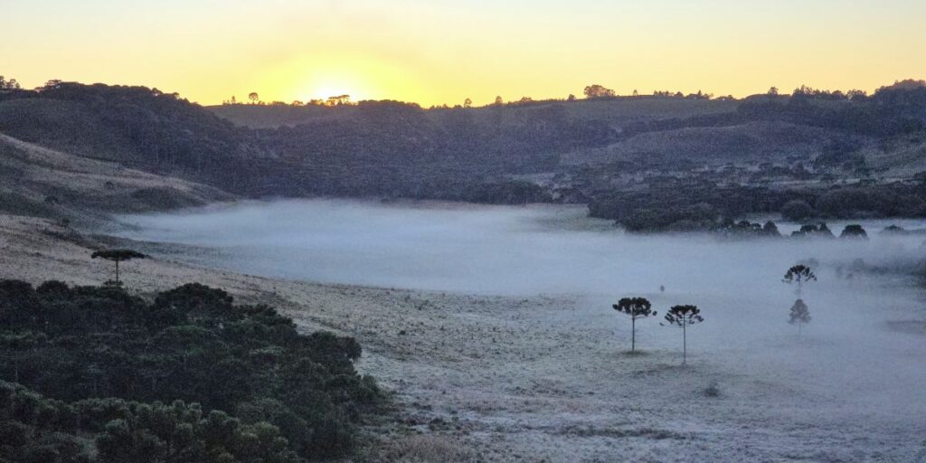 Região Serrana de Santa Catarina fica coberta com geada e registra -1,9°C