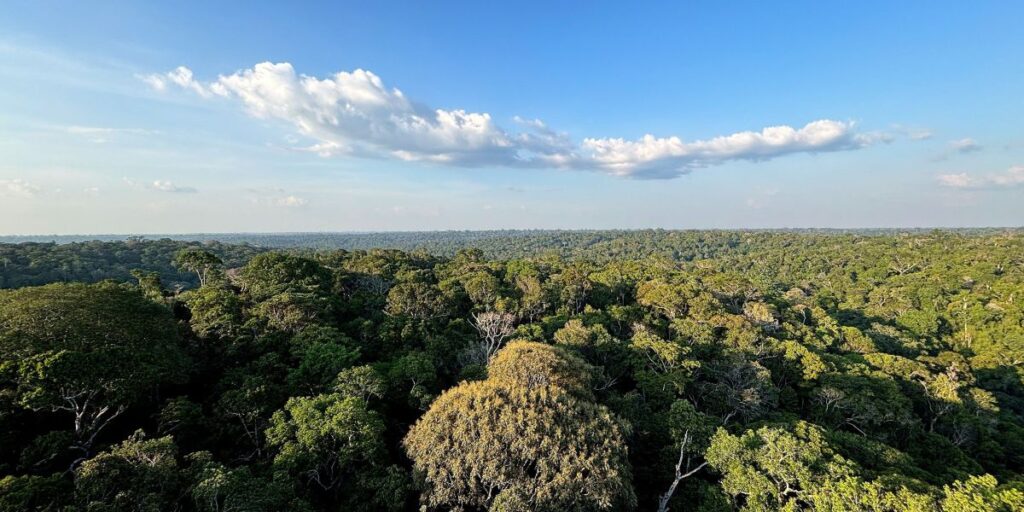 Brasil fecha acordo para aumentar vigilância contra crimes na Amazônia