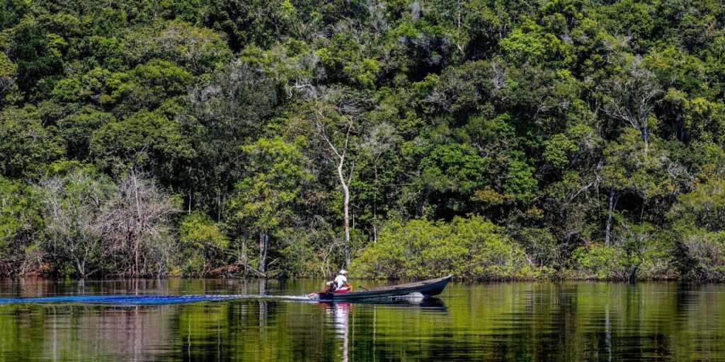COP30: Governo e Instituto AYA revelam relatório de transformação ecológica