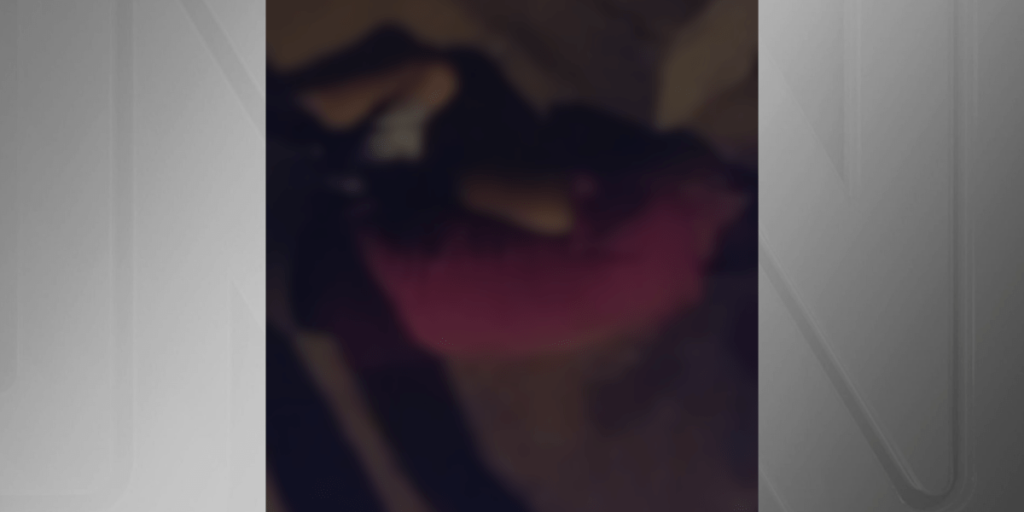 Homem é espancado durante caminhada em Goiás