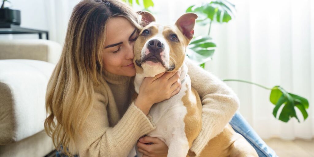 Pets: pesquisa aponta que 80% dos animais nos lares do Brasil são adotados