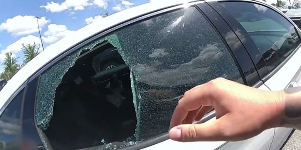 Vídeo: Policiais quebram janela de carro para resgatar cão na Flórida