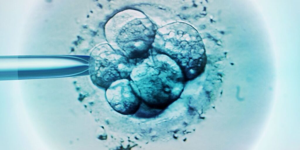 Mulher dá à luz filho de outro casal após confusão em fertilização in vitro