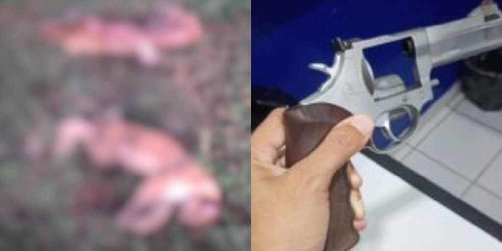 Caçador é preso suspeito de matar duas onças em propriedade rural em MS