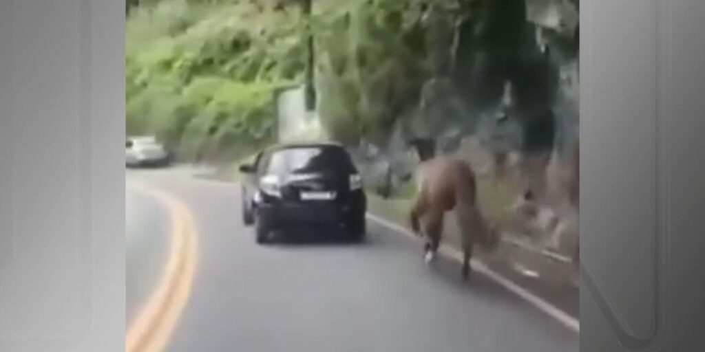 Vídeo: homem é flagrado arrastando cavalo preso a carro no RJ