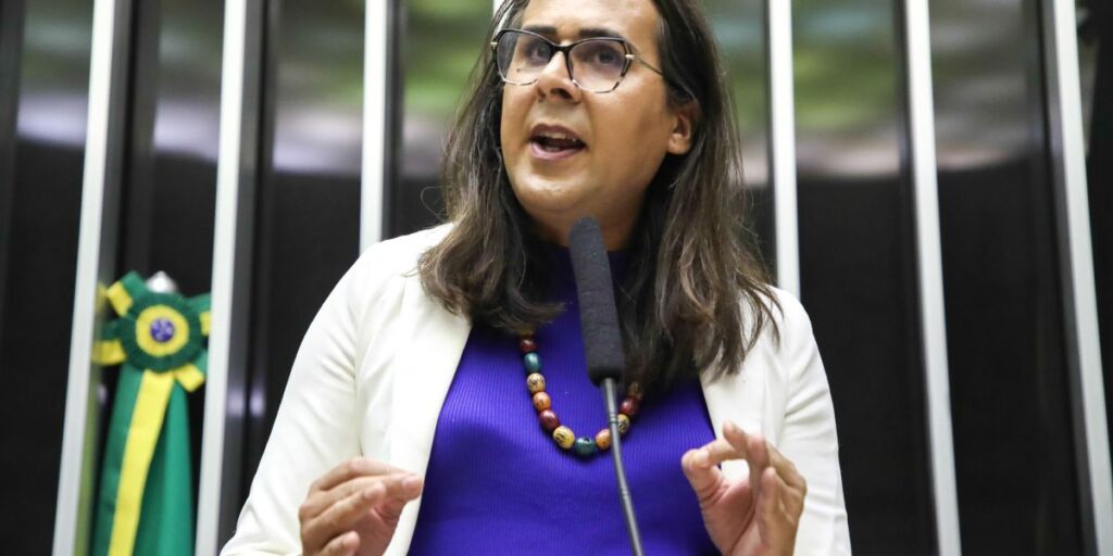 Deputada propõe projeto que veta anistia a investigados por golpe