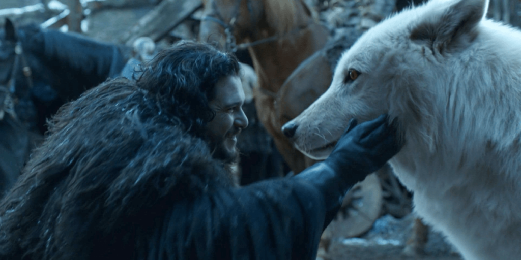 Qual é a relação dos lobos-terríveis com "Game of Thrones"?