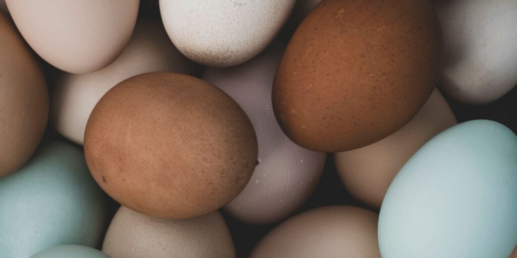 Tarifas nos EUA podem afetar importações de ovos, inclusive do Brasil