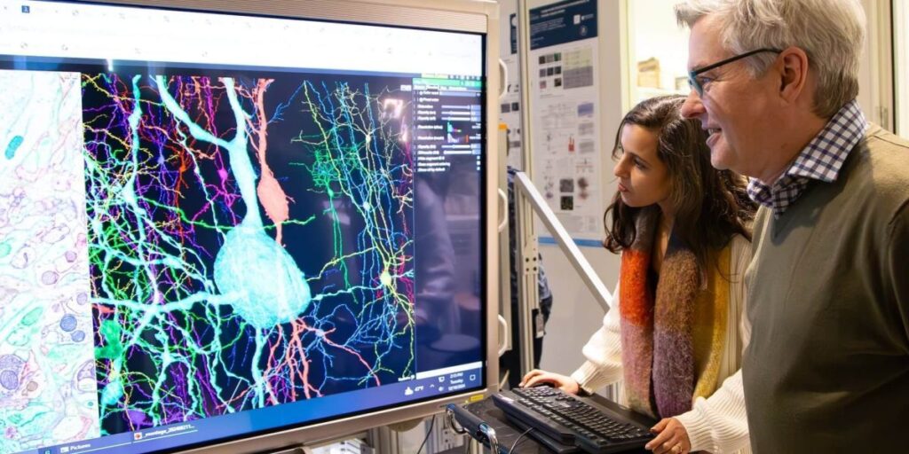 Cientistas revelam avanço em pesquisa cerebral considerado impossível