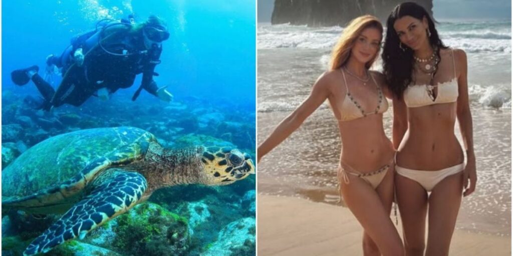 Marina Ruy Barbosa posa com tartaruga marinha em Noronha; veja