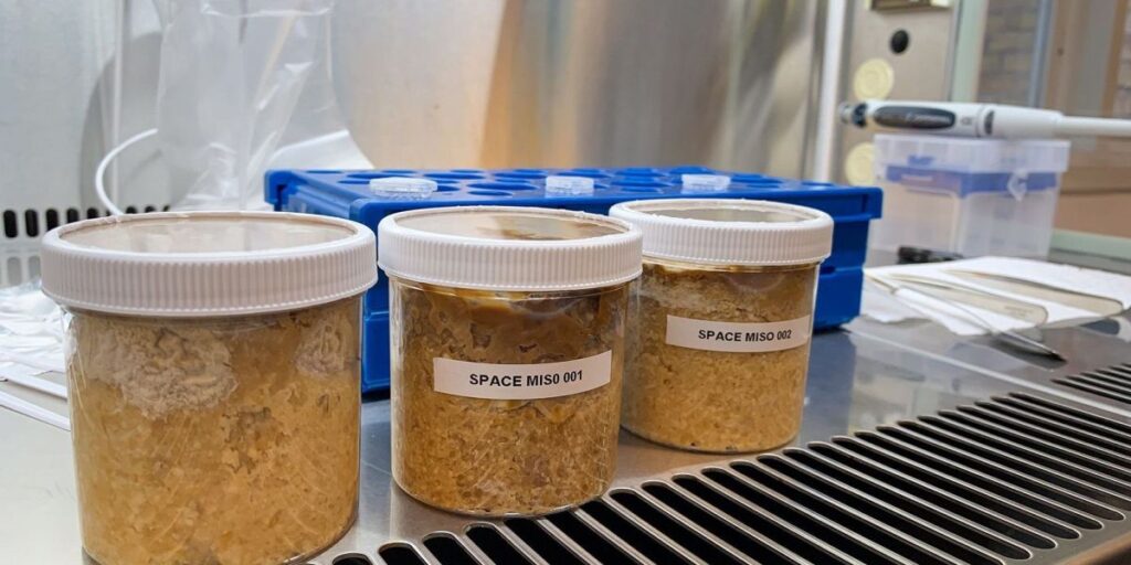 Experimento na ISS faz "missô espacial" com feijões; veja como ficou