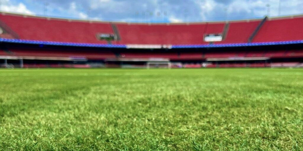 São Paulo x Cruzeiro tem escalações definidas; Gabigol e Dudu são banco