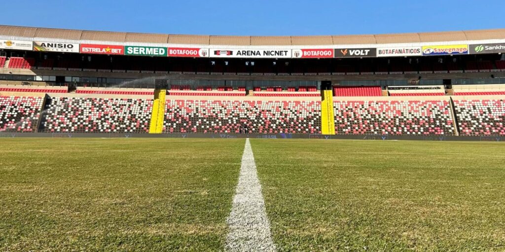 Botafogo-SP x Remo: horário e onde assistir ao jogo da Série B