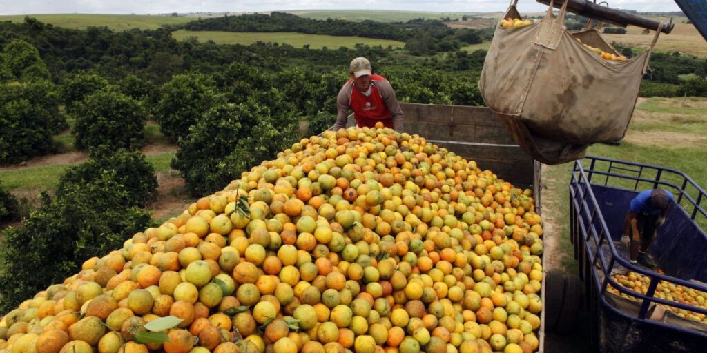 Tarifaço eleva custo do suco de laranja em US$ 100 milhões, diz CitrusBR
