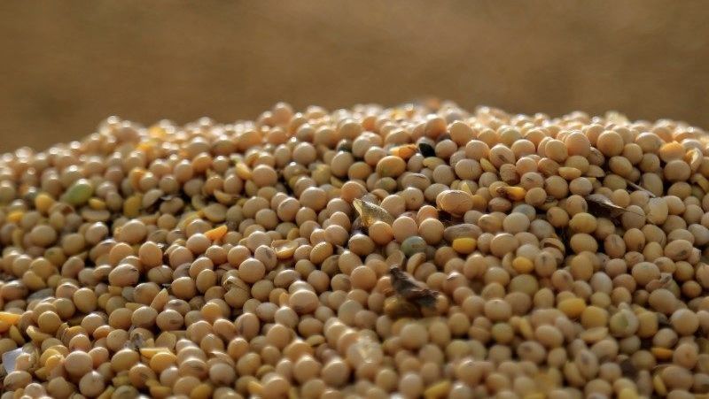 No Brasil, Brics apoia proposta de Putin para criar “Bolsa de Grãos”