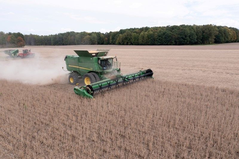 Recuperações judiciais no agronegócio crescem 138% em 2024, diz Serasa