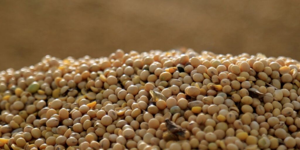 IGP-10 tem queda de 0,22% em abril, diz FGV