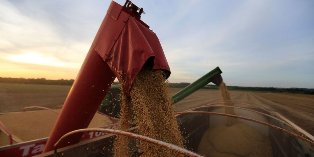 Pesquisa expande possibilidades para produção sustentável de soja