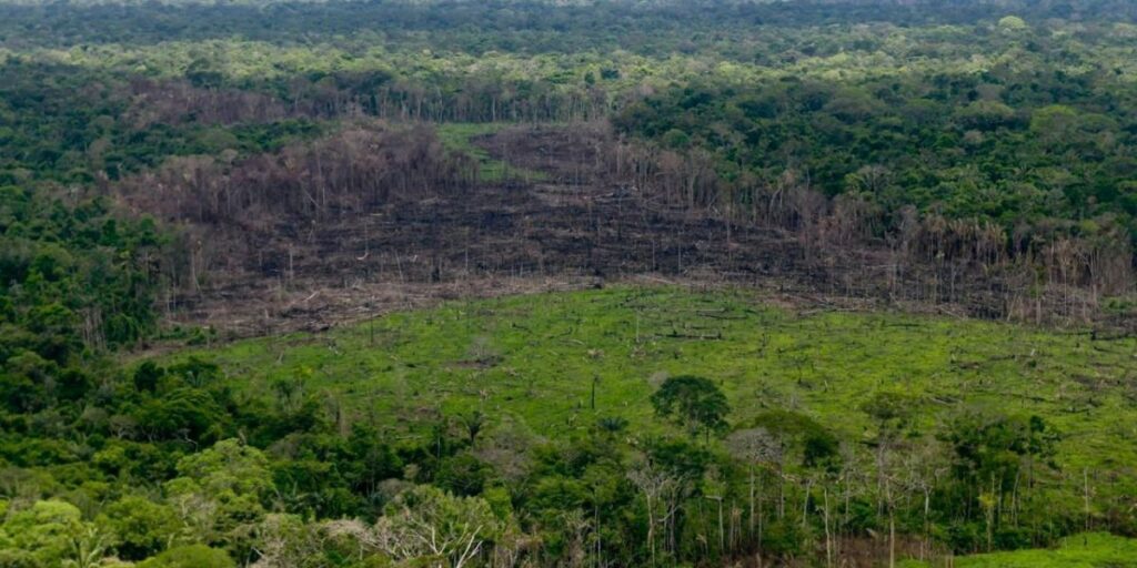Estudo mostra impacto oculto dos humanos na natureza ao redor do mundo