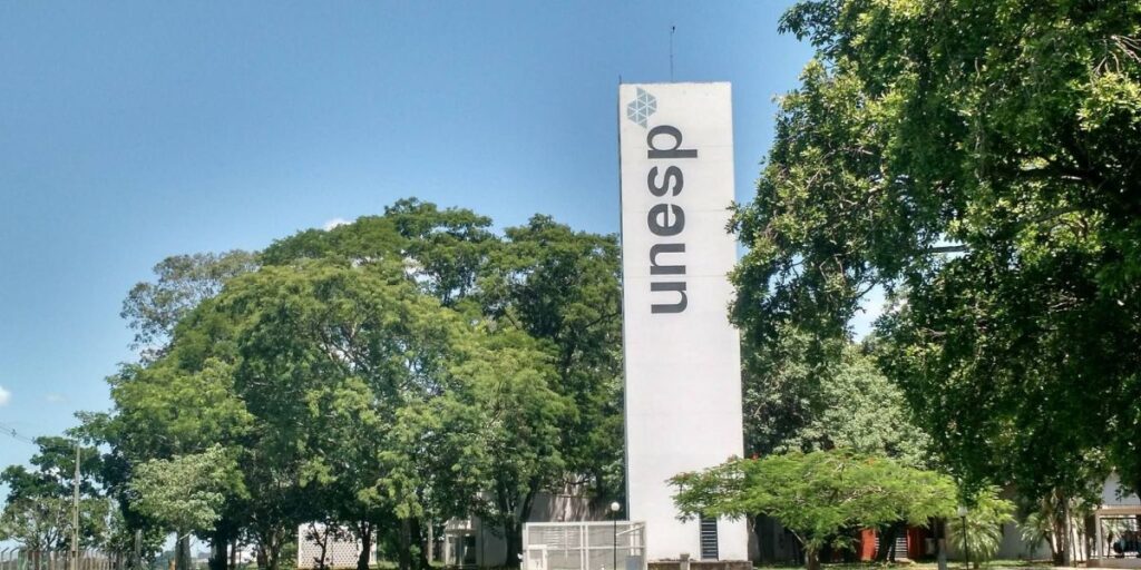 Alunos de licenciatura da Unesp ganham bolsas de extensão